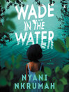Cover image for Wade in the Water